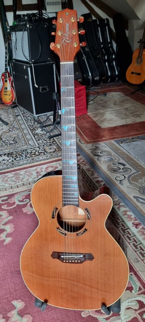 Takamine ESF 93 0 La Neuville-en-Hez (60)