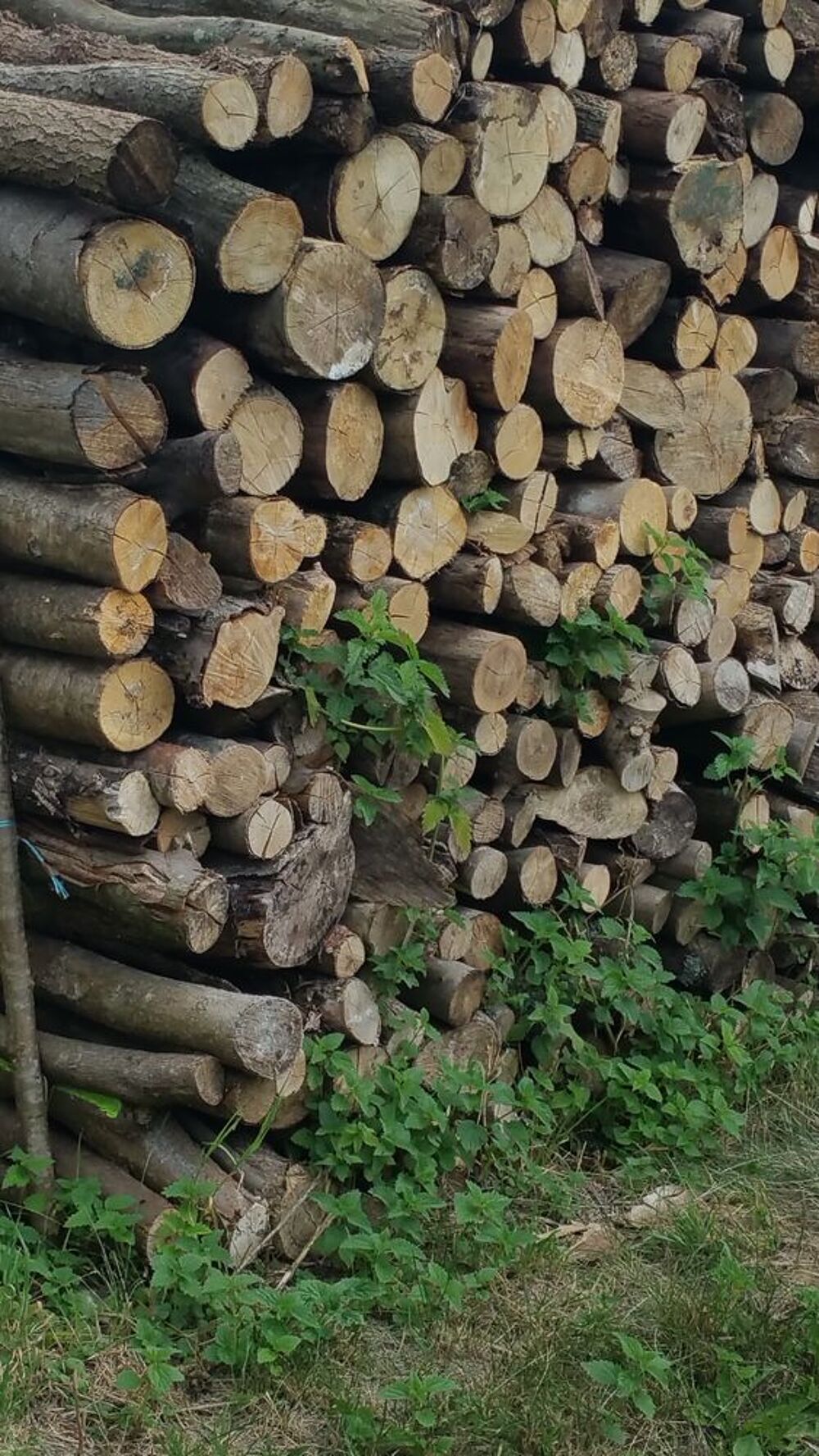 Bois pour chauffage Bricolage