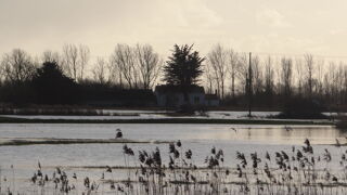 Location  Appartement 