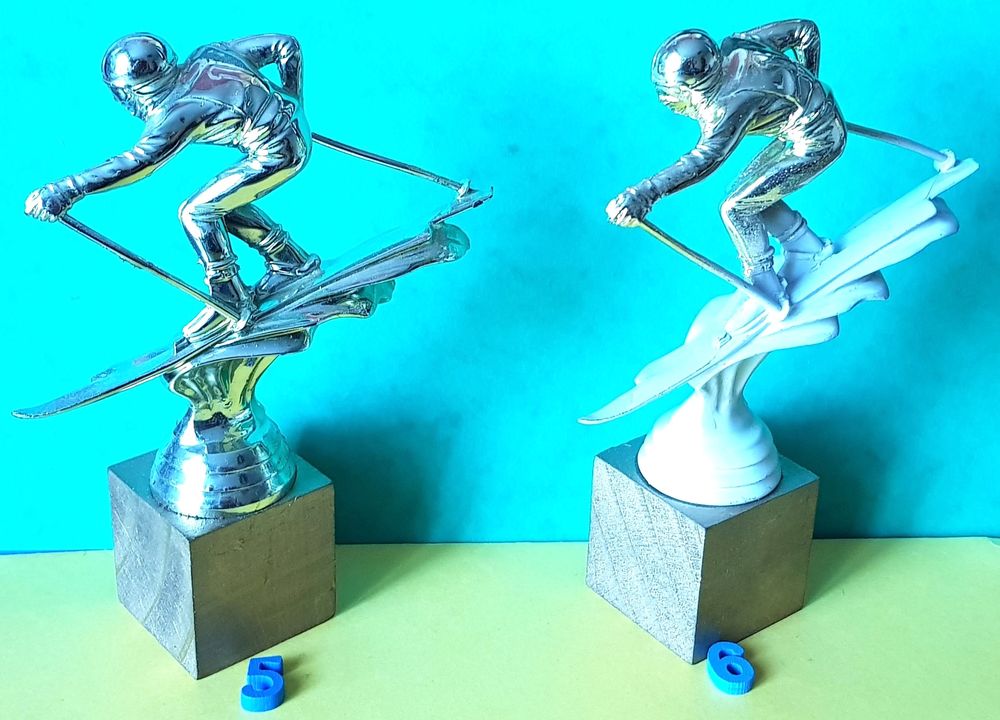 TROPHEE SKI de piste ou descente
Sports