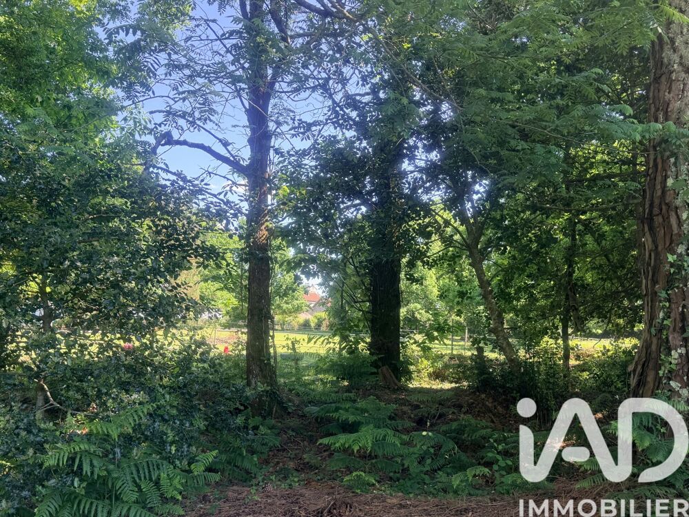 Vente Terrain Vente Terrain à bâtir 9 200 m&sup2; Sainte-eulalie-en-born