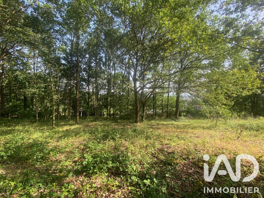 Vente Terrain Vente Terrain à bâtir 1 800 m&sup2; La flèche