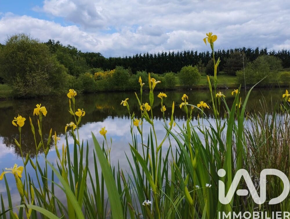Vente Maison de campagne 4 pièces