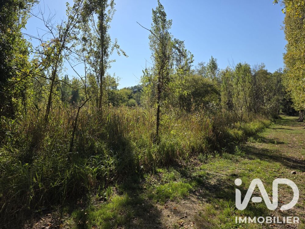 Vente Terrain Vente Terrain 2 920 m&sup2; Courçay