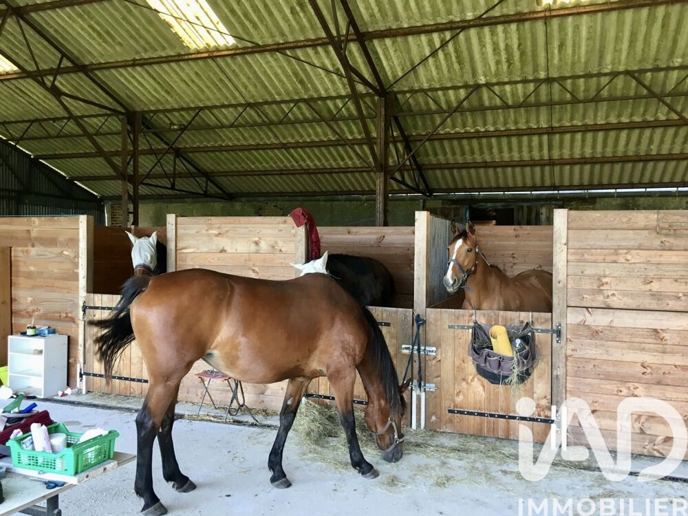 à vendre  Maison Saint-Laurent-en-Gâtines (37380)