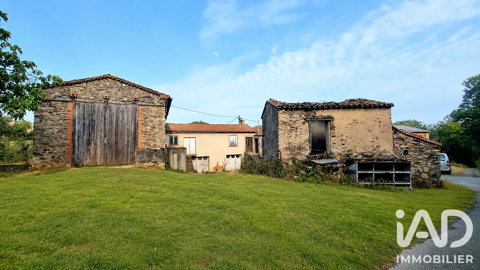 Image Annonce