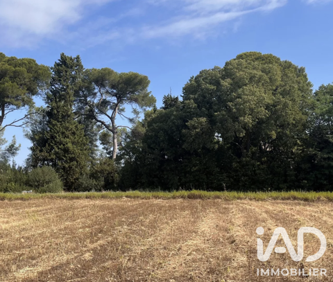 Image Annonce