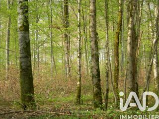  Terrain à vendre 3058 m²