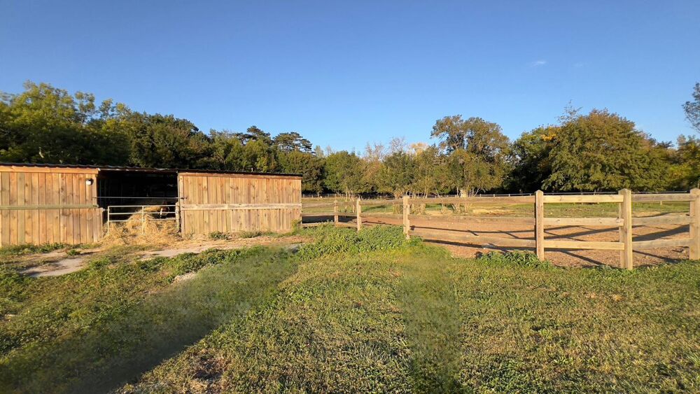 � vendre  Maison Toulouse (31000)