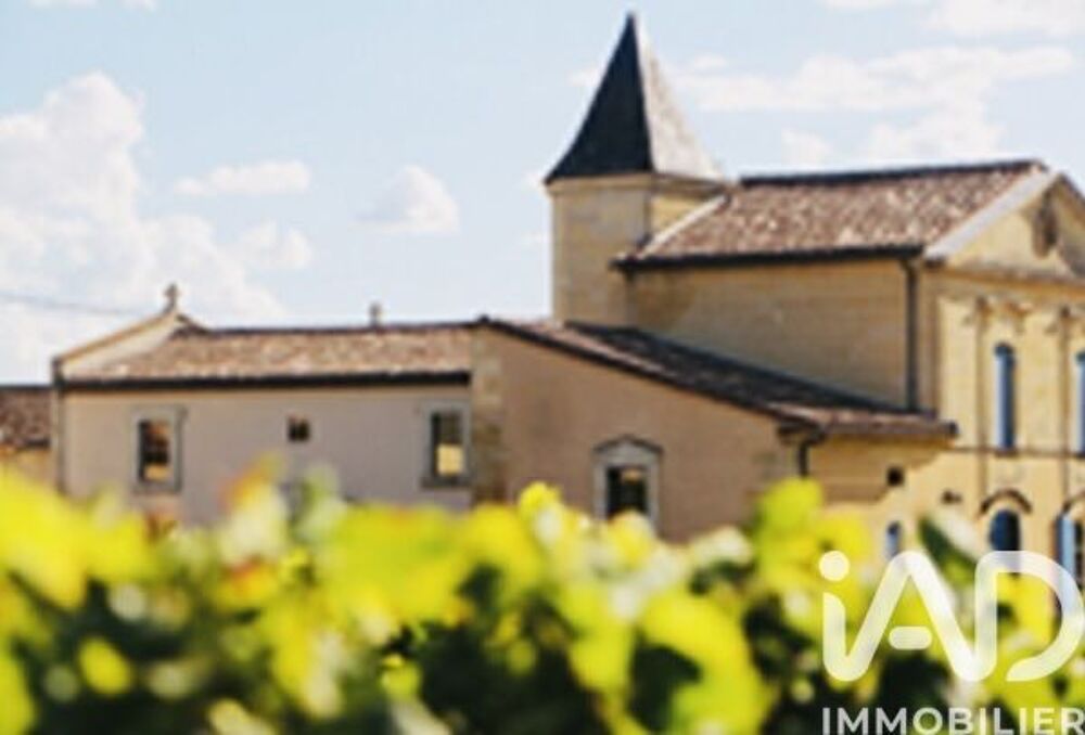 Vente Château 20 pièces