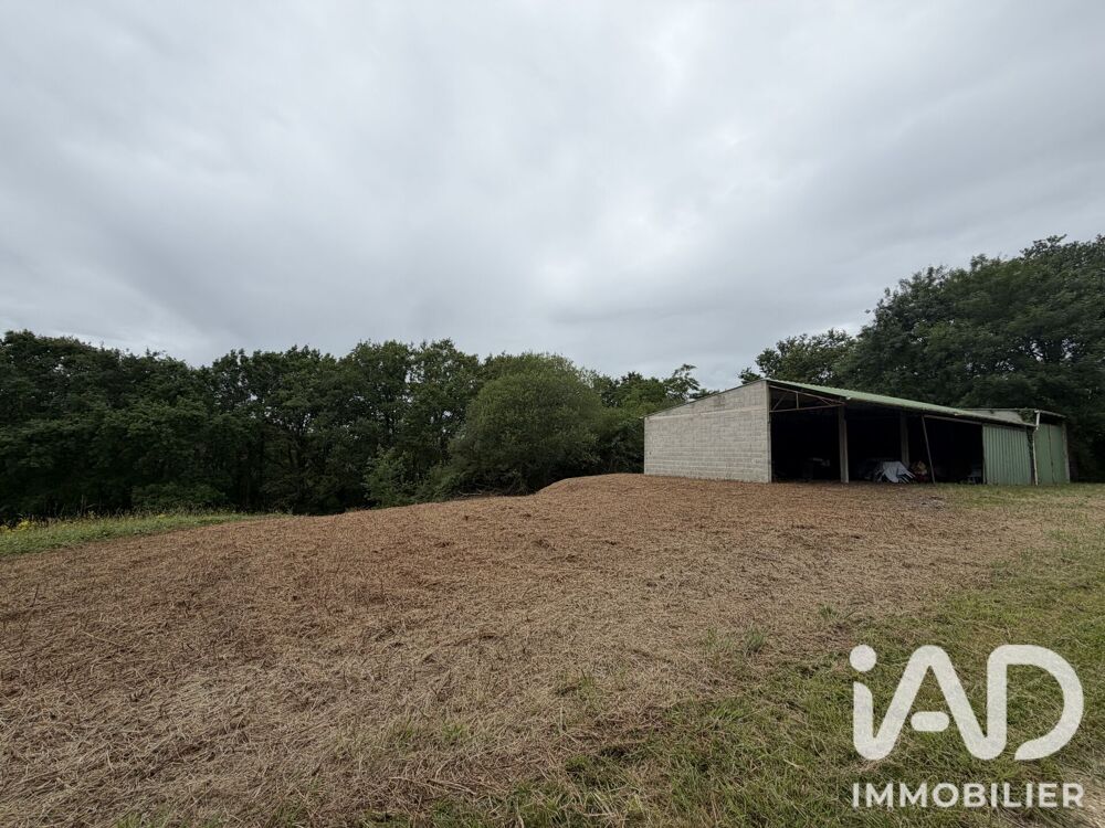 Vente Terrain 2356 m² - Vue 4