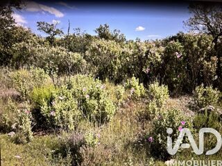  Terrain à vendre 10077 m²