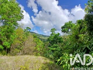  Terrain à vendre 11000 m²