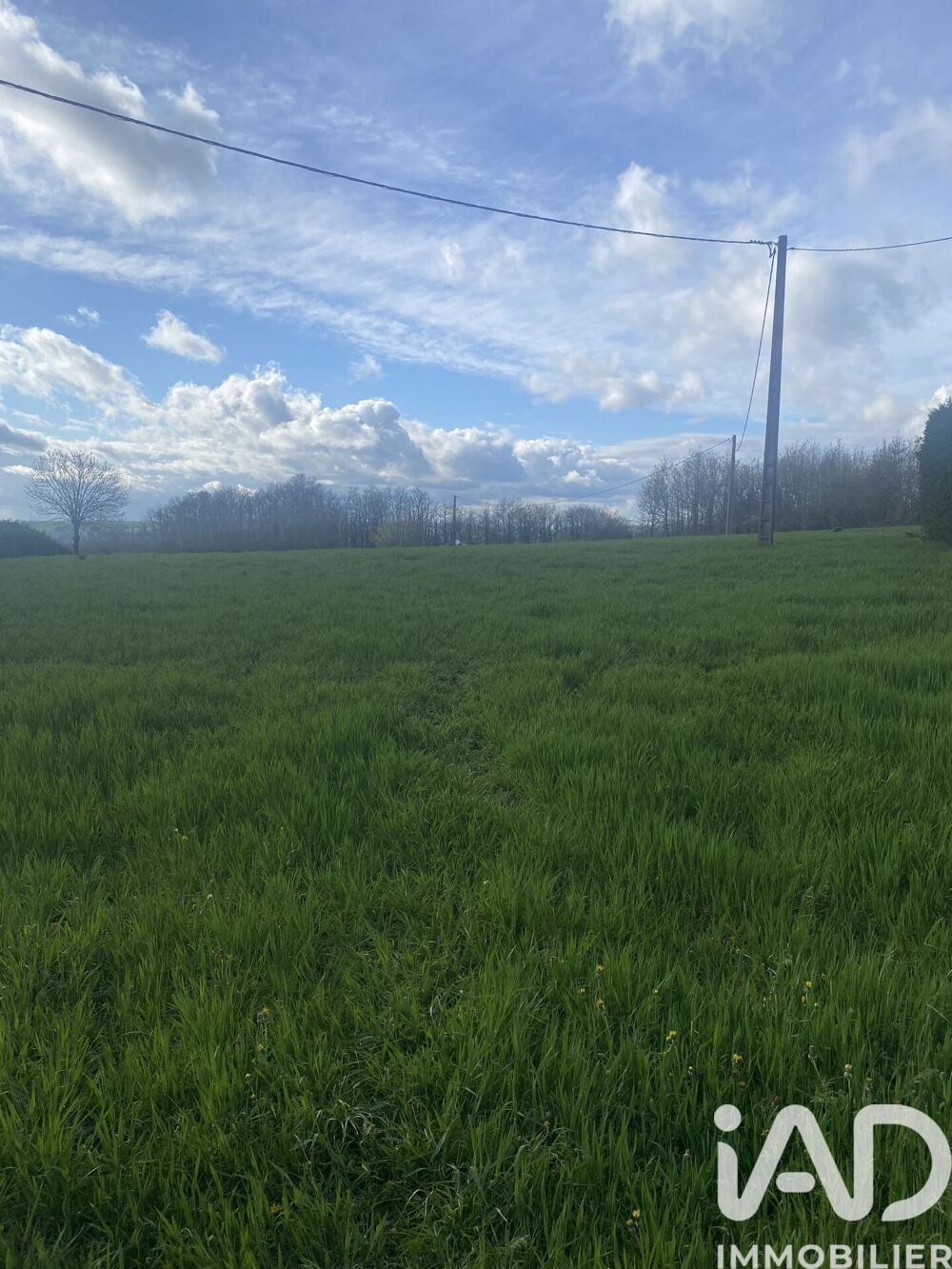 Vente Terrain Vente Terrain à bâtir 5 182 m&sup2; Saint-salvi-de-carcavès