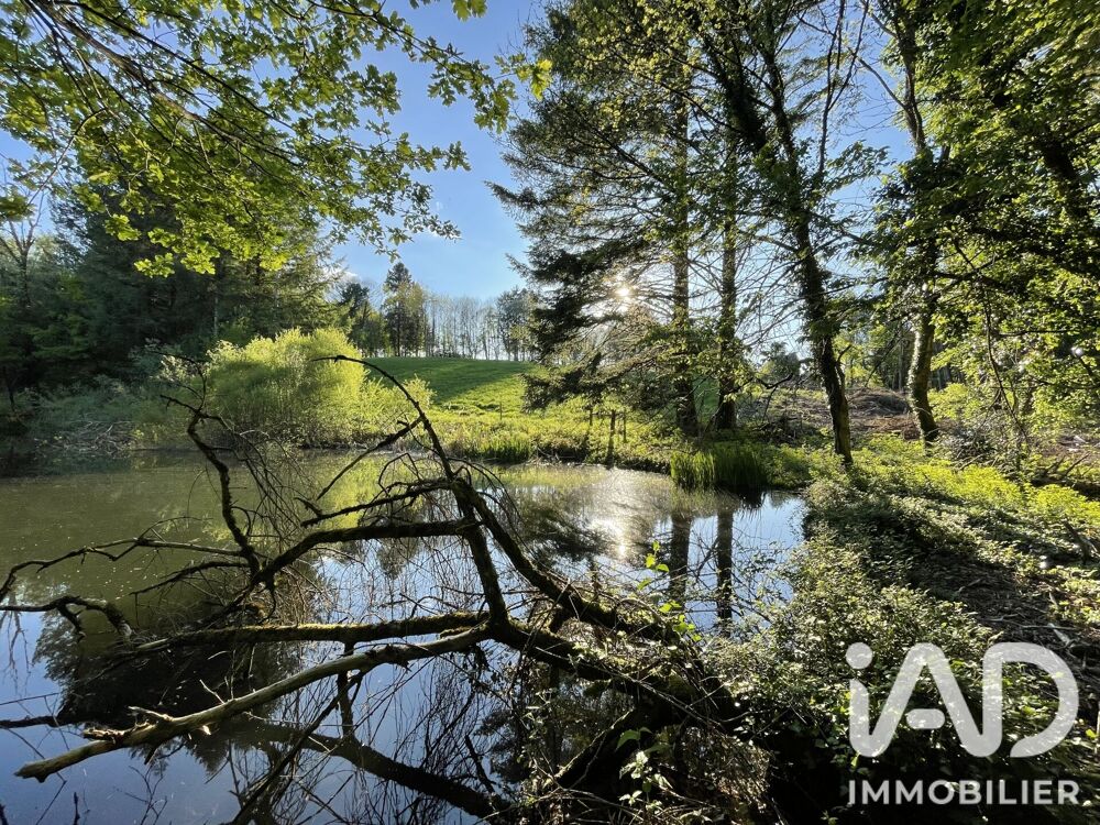 Vente Terrain Vente Terrain agricole 54 604 m&sup2; Naves