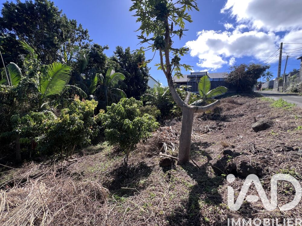 vente Terrain - 1230 m² Le Tampon (97430)