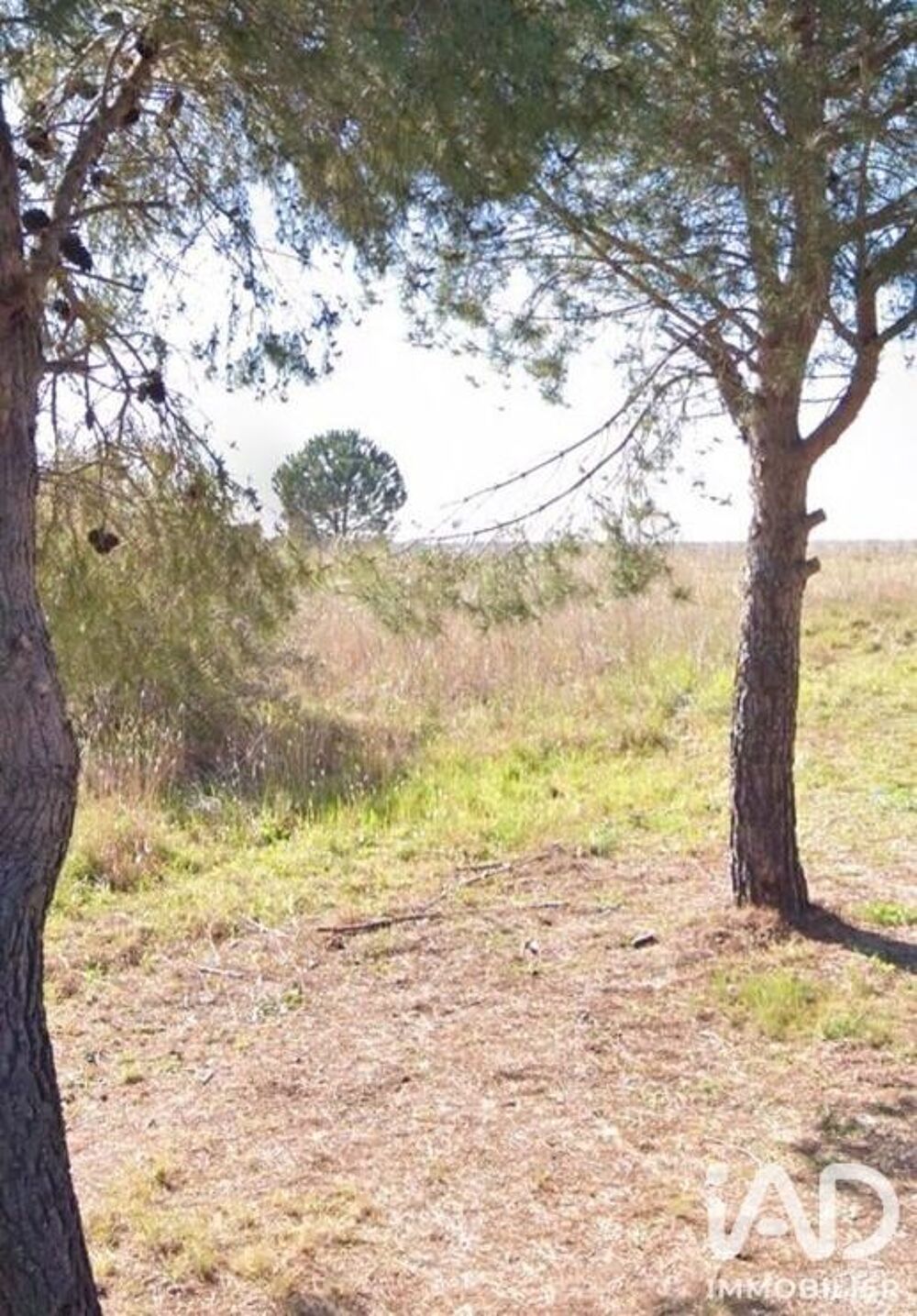 Vente Terrain Vente Terrain à bâtir 1 180 m&sup2; Adissan
