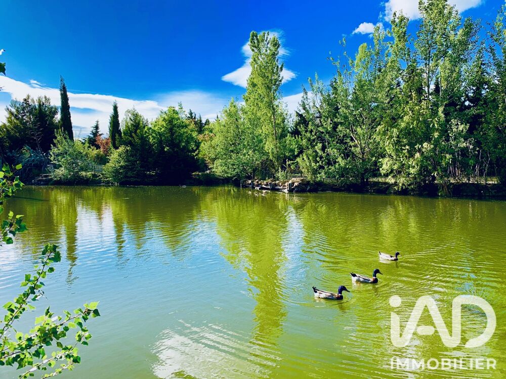 Vente Maison Vente Domaine 9 pièces Mollégès