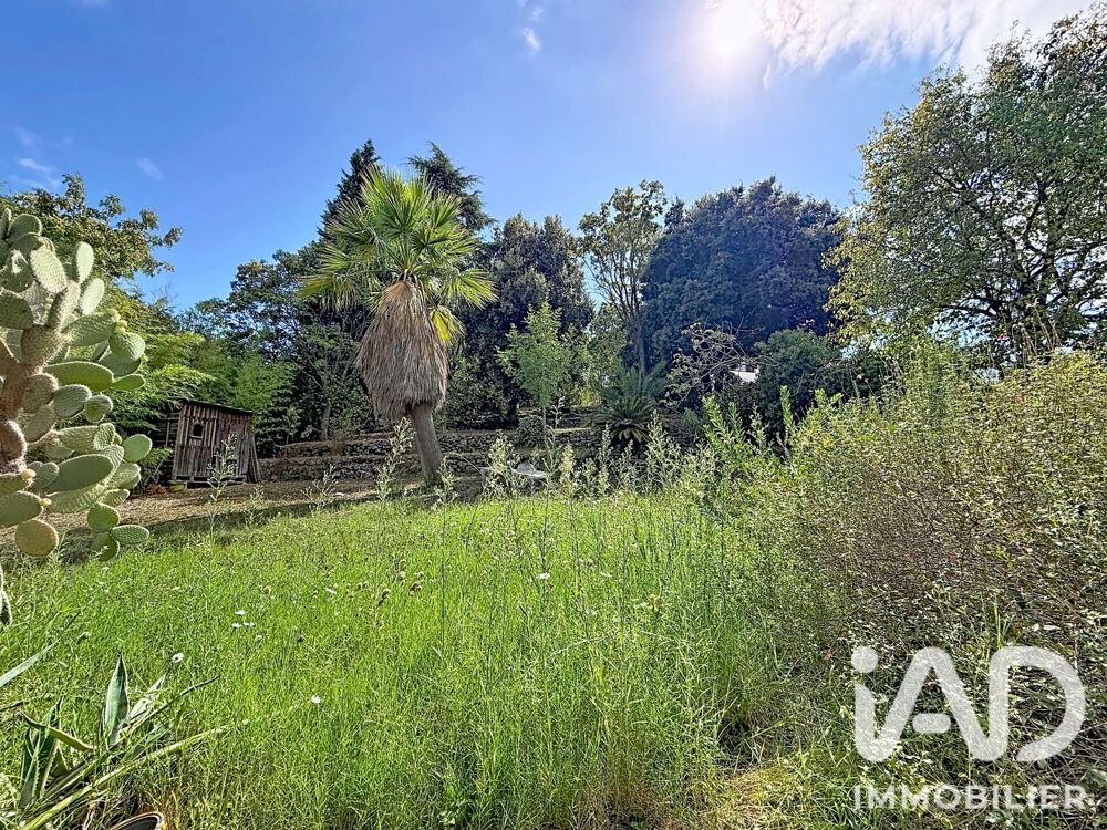 à vendre  Maison Vallauris (06220)