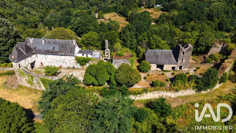 Vente Maison Vente Château 5 pièces Orgnac-sur-vézère