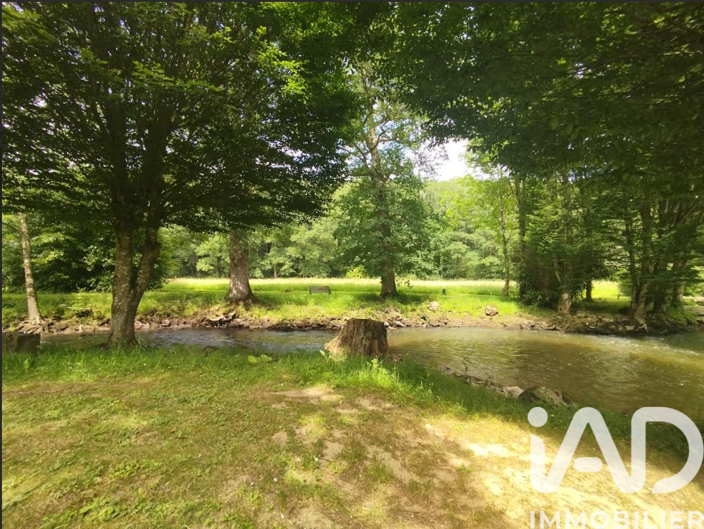 Vente Moulin 10 pièces