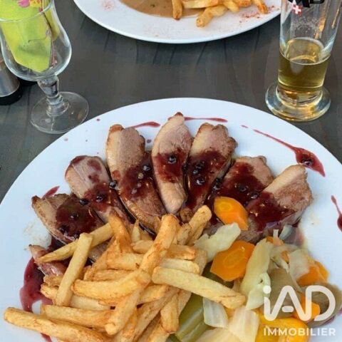 Vente Restaurant 100 m&sup2; 130200 26340 Saillans