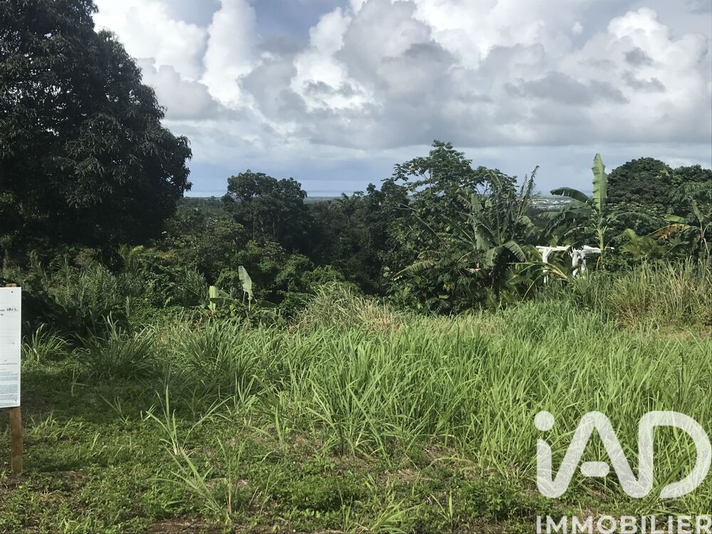 Vente Terrain Vente Terrain 1 501 m&sup2; Sainte rose