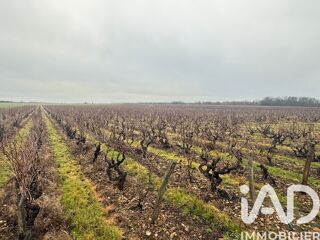  Terrain à vendre 39692 m²