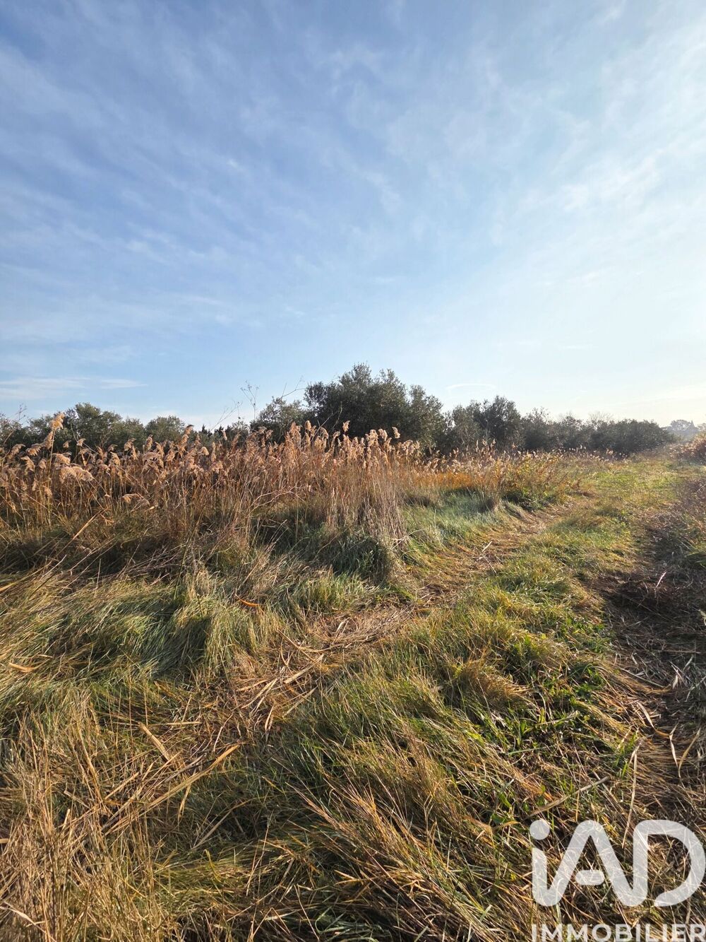 Vente Terrain Vente Terrain agricole 5 801 m&sup2; Pia