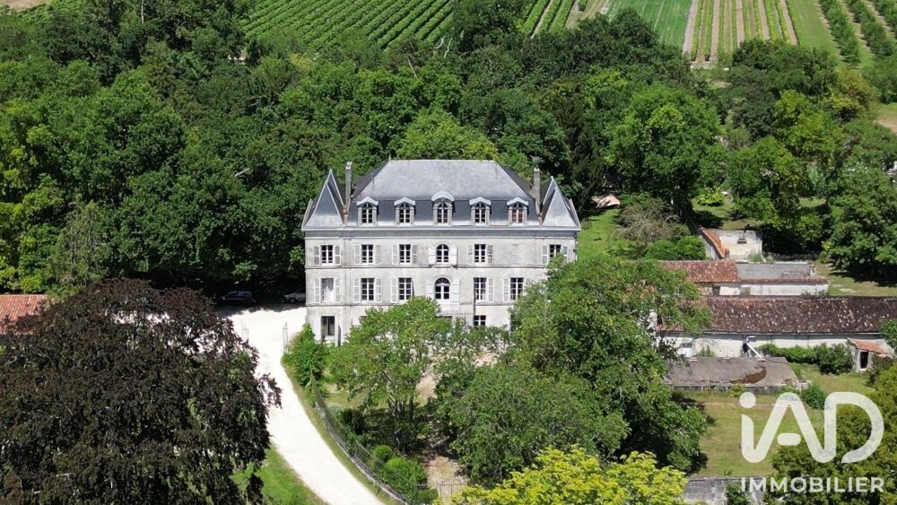 Vente Château 16 pièces