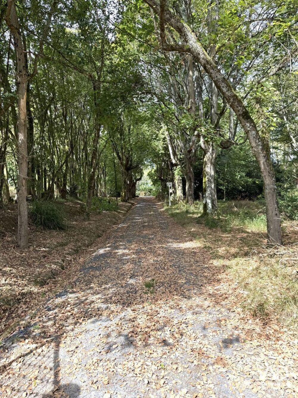Vente Maison Vente Maison/villa 8 pièces Peyrelongue-abos