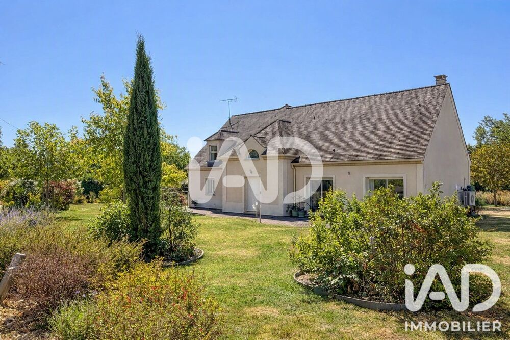 Vente Maison Vente Maison d'architecte 6 pièces Grez-sur-loing