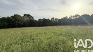  Terrain à vendre 439 m²