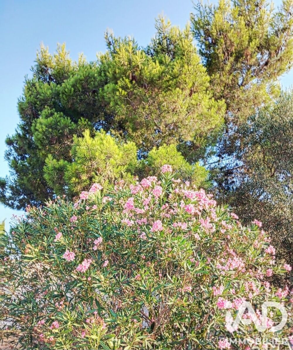 Vente Maison Vente Maison/villa 5 pièces Arles