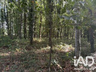 Vente Terrain Vente Surface diverse 45 000 m&sup2; Plounévez-quintin