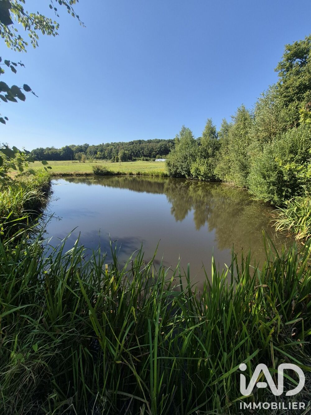 Vente Terrain Vente Terrain 21 223 m&sup2; Ferrières-en-bray