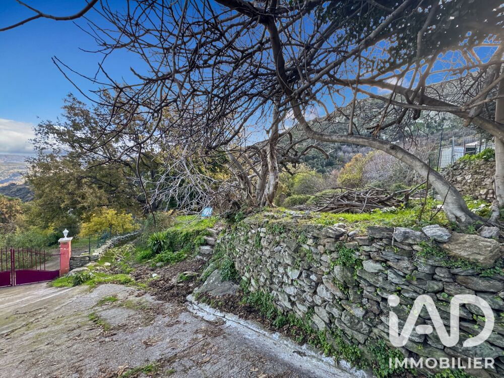 Vente Terrain Vente Terrain 842 m&sup2; Santo pietro di tenda