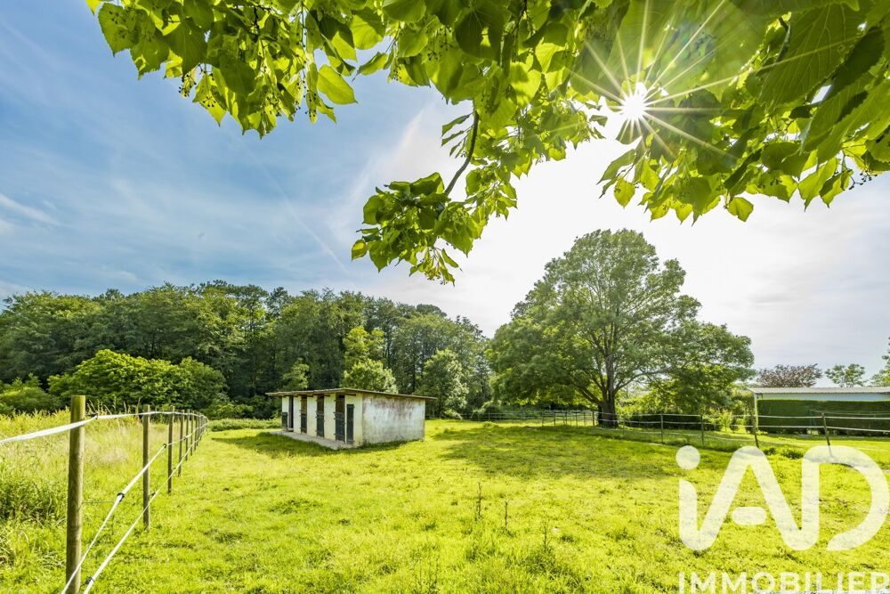 à vendre  Maison Saint-Martin-de-Seignanx (40390)