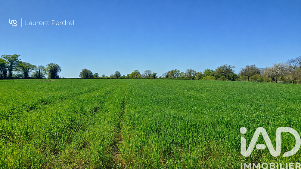 vente Terrain - 1687 m² Allaire (56350)