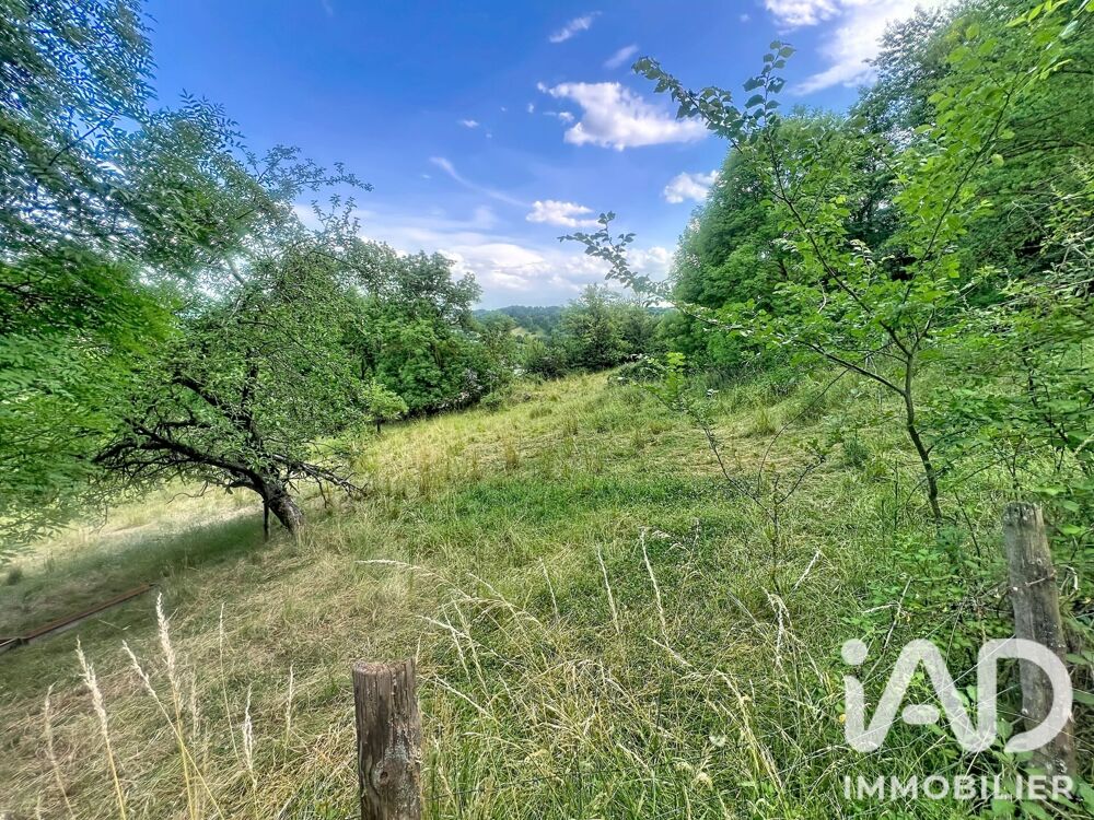 Vente Terrain Vente Terrain à bâtir 1 307 m&sup2; Polignac