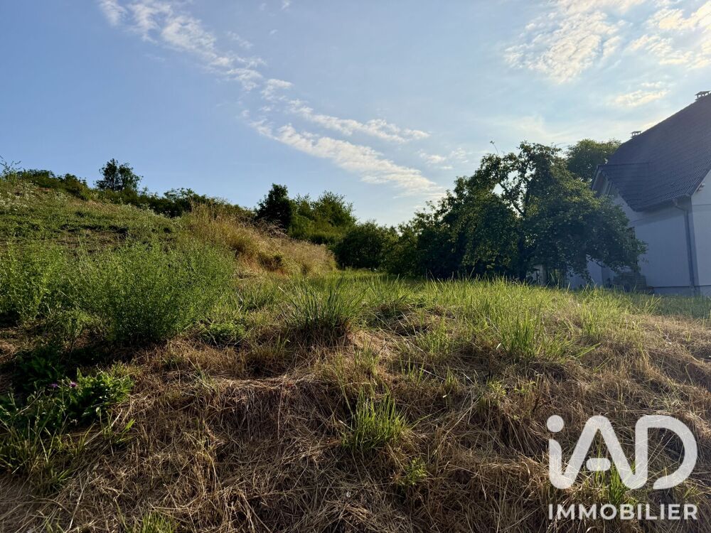 Vente Terrain Vente Terrain 1 707 m&sup2; Illfurth