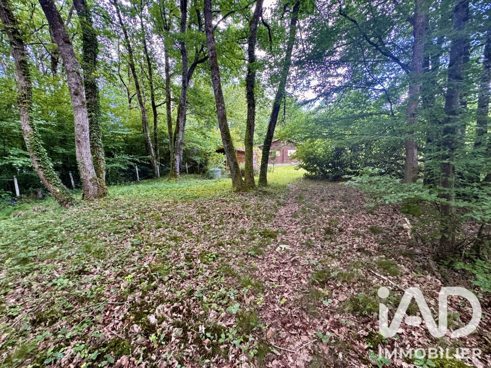 Vente Autre Vente Gîte 3 pièces Bazoches-sur-le-betz