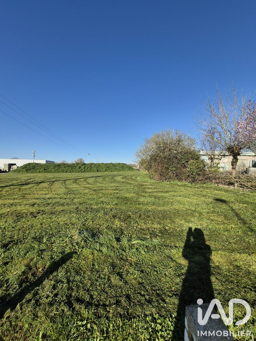 Vente Terrain Vente Terrain à bâtir 1 175 m&sup2; Bellevigny