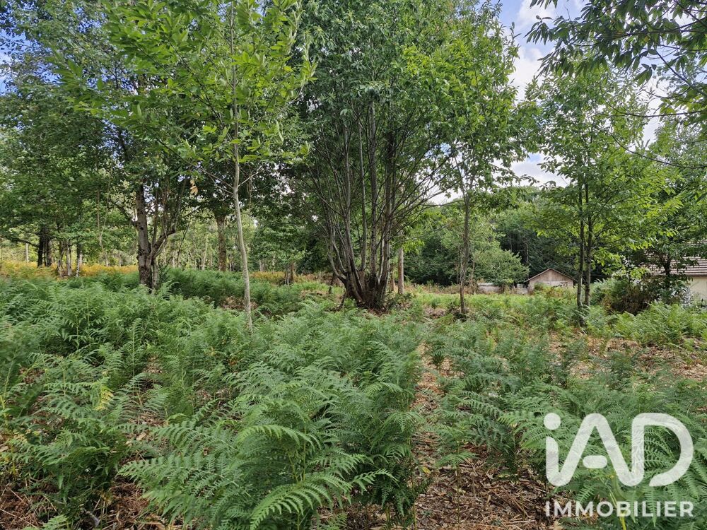 Vente Terrain Vente Terrain à bâtir 1 661 m&sup2; Saint-benoît-la-forêt