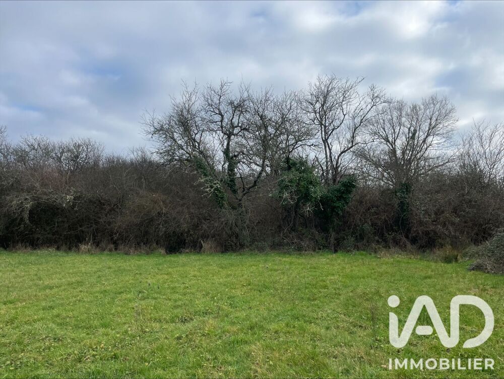 Vente Terrain Vente Terrain 7 042 m&sup2; Dunet