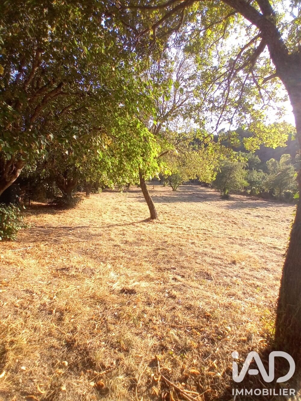 Vente Terrain Vente Terrain à bâtir 3 230 m&sup2; Buis-les-baronnies