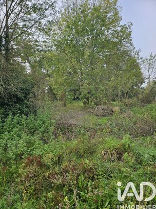  Terrain � vendre 23855 m�