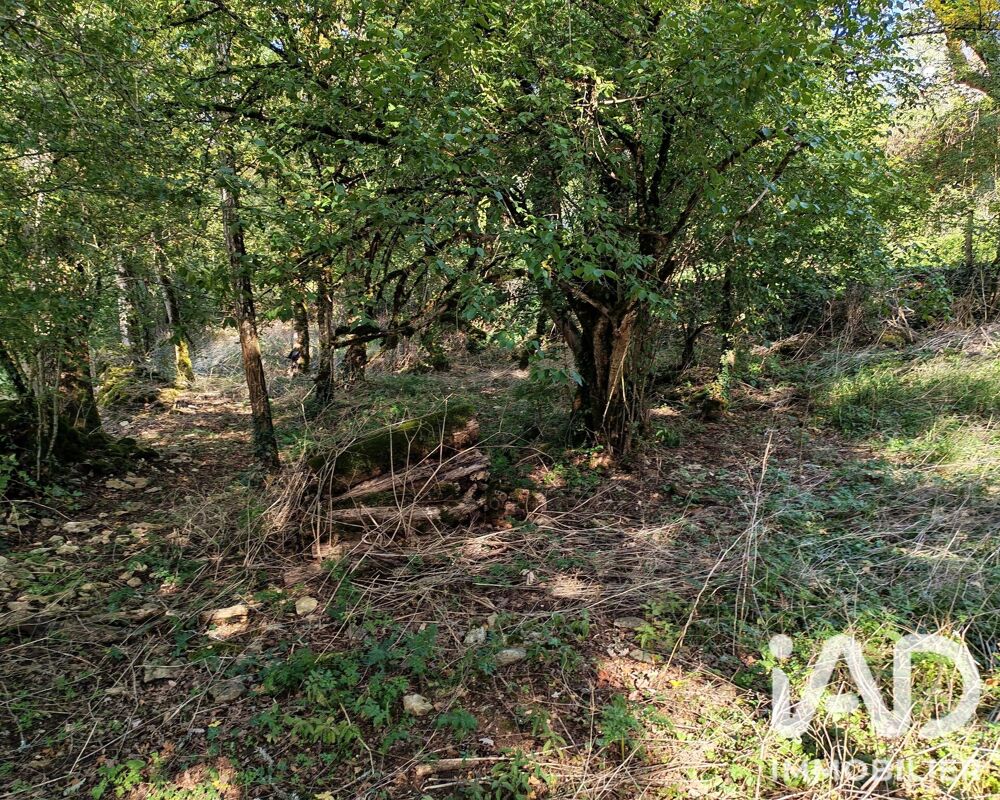 Vente Terrain Vente Terrain à bâtir 19 923 m&sup2; Gramat
