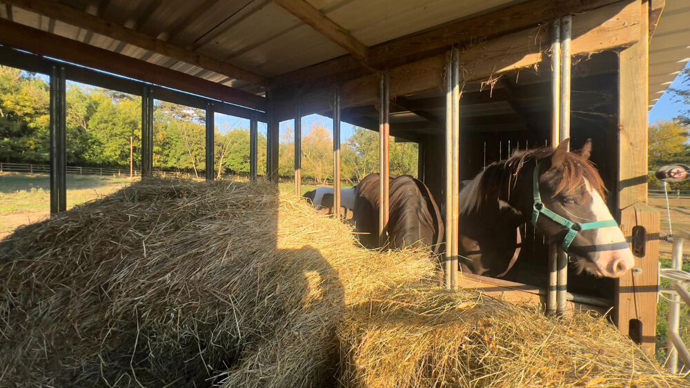 � vendre  Maison Toulouse (31000)