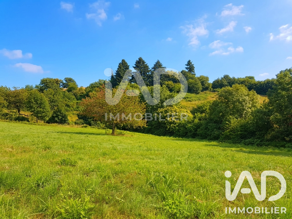 Vente Terrain Vente Terrain à bâtir 2 800 m&sup2; Beaumont